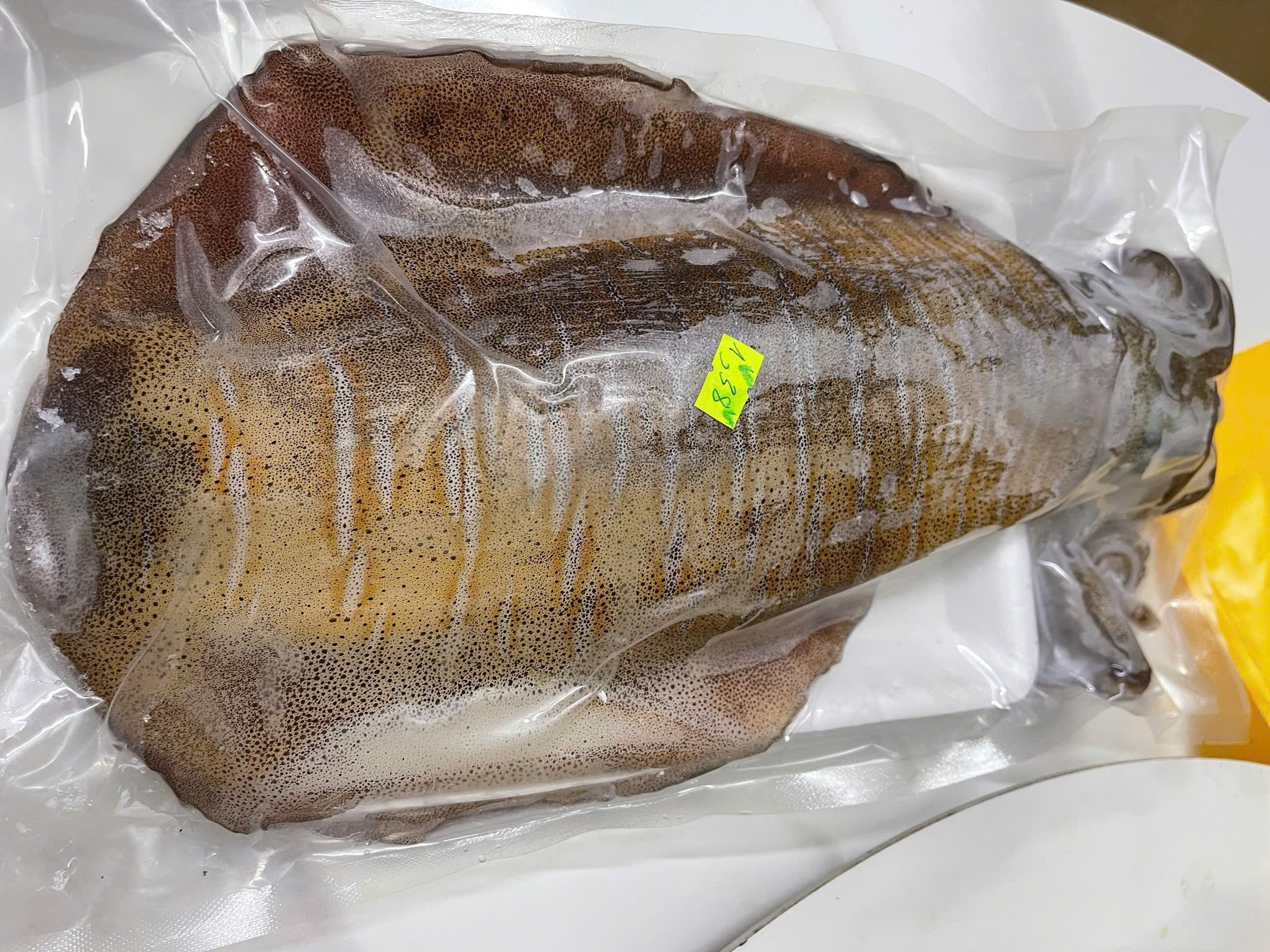 Mực lá