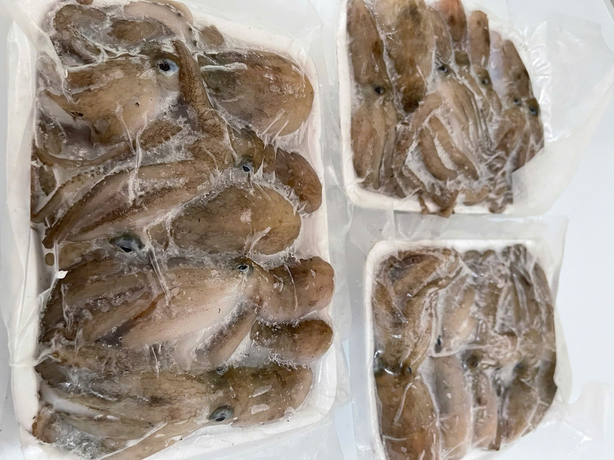 Ruốc Cô Tô